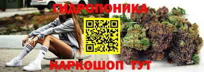 герыч Гатчина