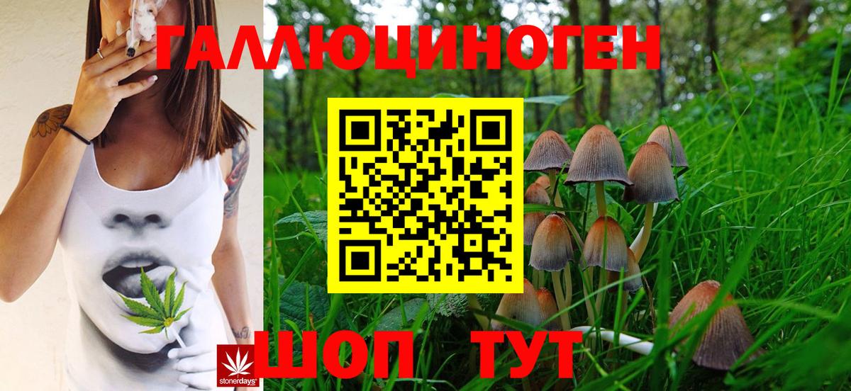 Галлюциногенные грибы Magic Shrooms  Вход с VPN  Нарткала 
